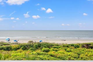4431 Windswept Villa by Akers Ellis Rentals - Kiawah Island - 2