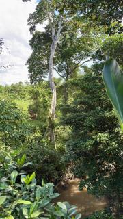 De'Cupit Villa - Ubud - 2