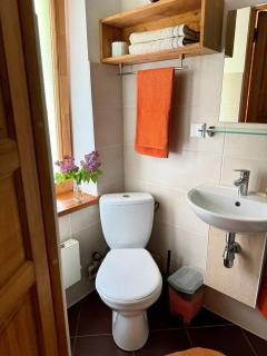 Viesu Nams Vilhelmīne - 4