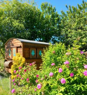 Roulotte avec Spa - La Capelle-Bleys - 0