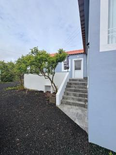 Casa da Figueira - Madalena - 3
