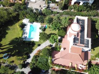 Las Cycas - Ischia - 0
