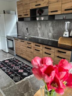 House Sarajka - - 8