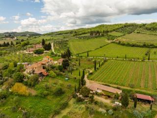 Vallone di Cecione - Greve in Chianti - 8