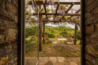 Vallone di Cecione - Greve in Chianti - 5