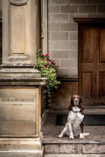 Norton House Hotel & Spa, Edinburgh - Ingliston - 6