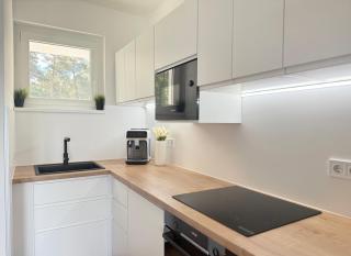 BALATON A KERTBEN - BALATON IN THE GARDEN - Beachfront houses with beautiful view, private beach - Balatonfenyves - 3