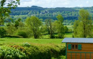 Ravenscroft Retreats Glamping - Golden Grove - 6