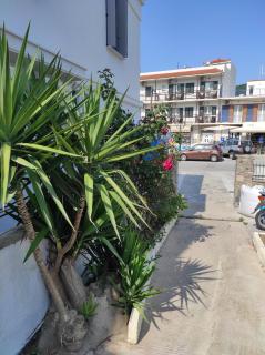 Easy to find - Città di Skopelos - 7