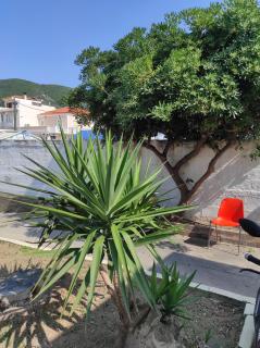 Easy to find - Città di Skopelos - 6