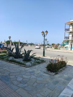 Easy to find - Città di Skopelos - 0