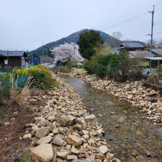 Picturesque Kyoto - Habu - 1