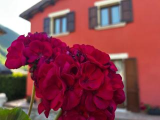Il Casaletto Visso - Appartamenti - Visso - 8