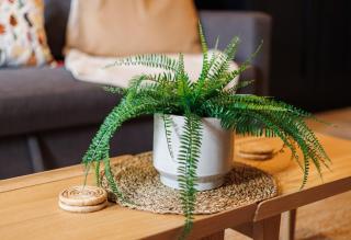 Upper Eastside Boutique - Lush bed & Fab location - Belfast - 3