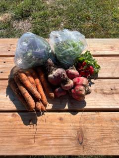Tiny home on an organic croft, Isle of Arran - 3