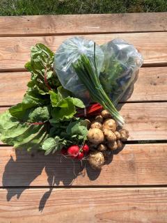 Tiny home on an organic croft, Isle of Arran - 1