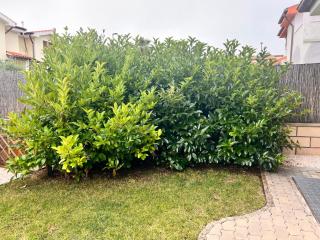 Casa Grecale - Girasole - 5