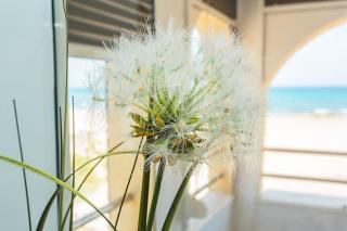 149 Seaside Cool Apartment - Alicante Holiday - La Mata - 7