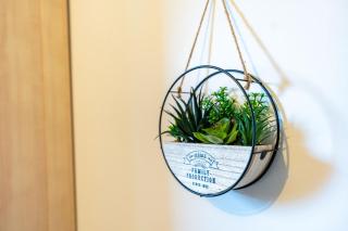 L'appart des pins - 2