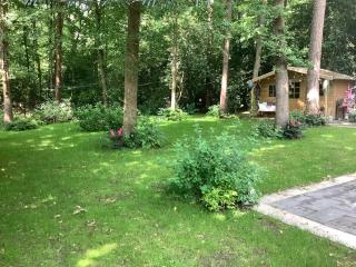 Mawosy Lodge - Apeldoorn - 1