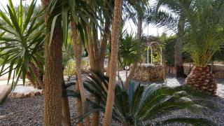 Phalanthos B&B - Leporano - 6