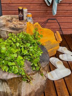 Roheluse metsamaja with hot tub and sauna - - 1