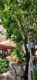 Dilina Guesthouse - Alkioni - Agios Nikolaos - 7