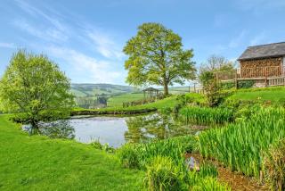 Winsford Cottage Wheddon Cross - Minehead - 2