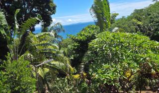 Villa Sylkomba 1 - Nosy Komba - 4