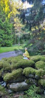 Villa Miilia maalaismajoitus ja spa - Karijoki - 2