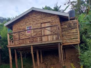 Weaver Bird Hostel - Rubanda - 8