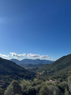 Gîte Inseme, le calme entre mer et montagne en Corse - Arbellara - 6