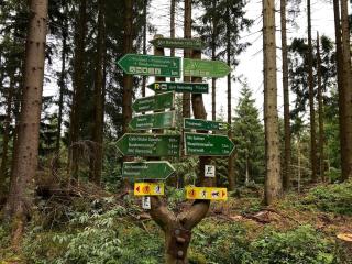 Modernes Wohnstudio im Wald, auf dem Rennsteig Nähe Ilmenau - Ilmenau - 3