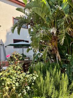 B&B Ondamarina - Lascari - 8
