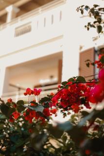 Sifakis House - Parga - 0