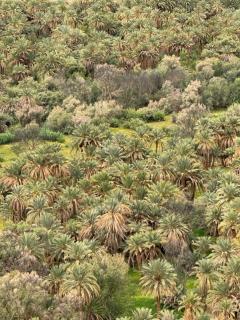 Berber Luxury Camp - 6