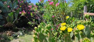 SeaSun House - Capo dʼOrlando - 9