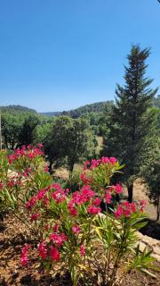 Lou Cabanoun Dei Pardigaou - Cotignac - 3