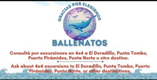 Ballenatos Madryn - Puerto Madryn - 1