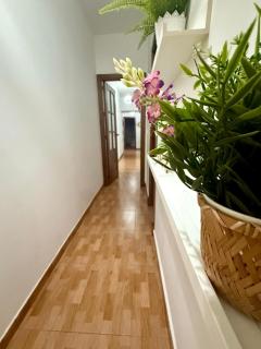 Apartamento Calle chanca En pleno centro - Sanlúcar de Barrameda - 5