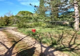 La Bastide Les trois Pins - Saint-Maximin-la-Sainte-Baume - 1