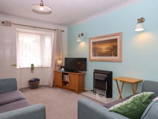 Hedgehogs - Barnstaple - 7