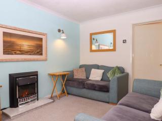 Hedgehogs - Barnstaple - 6