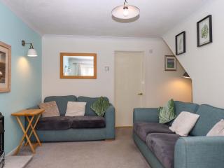 Hedgehogs - Barnstaple - 5