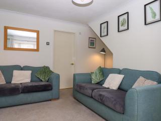 Hedgehogs - Barnstaple - 4