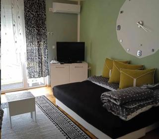 Leon Apartman - Vrnjačka Banja - 6