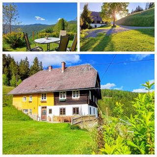 Ferienhaus Almhorizont beim Oberen Kreuzer - Friesach - 0