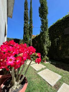 Flat Garoa Recanto Florah - 7