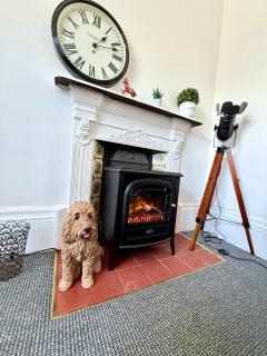 Alfie's Den, Bridlington - Bridlington - 7