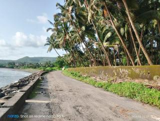 'Ananda' Homestay in Murud - - 4